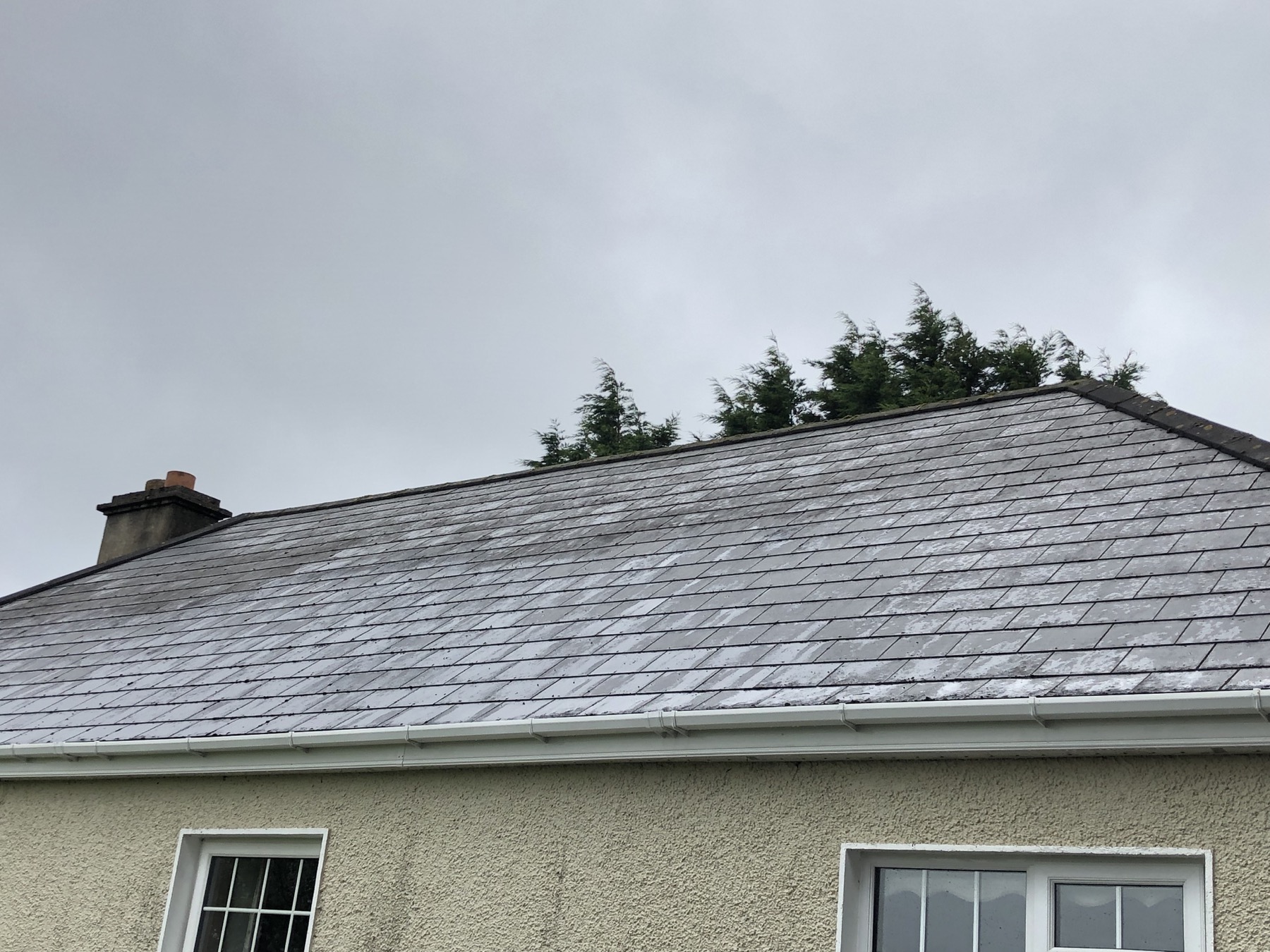 Roof after cleaning