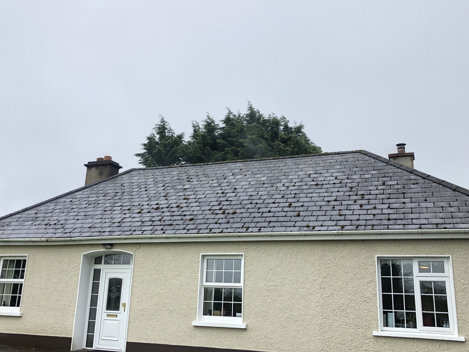 Roof cleaning before